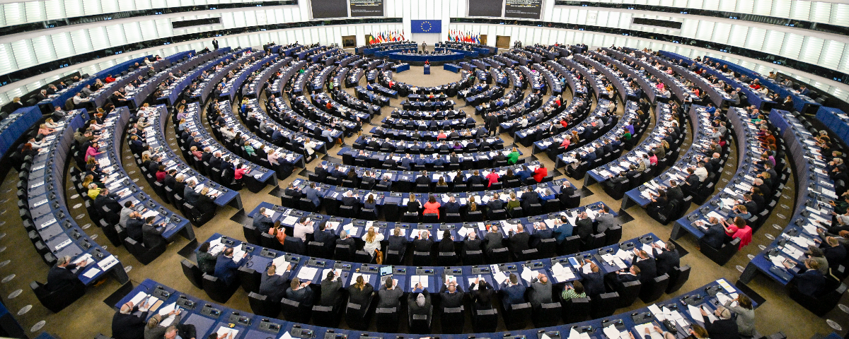 New European Parliament (2024-2029)